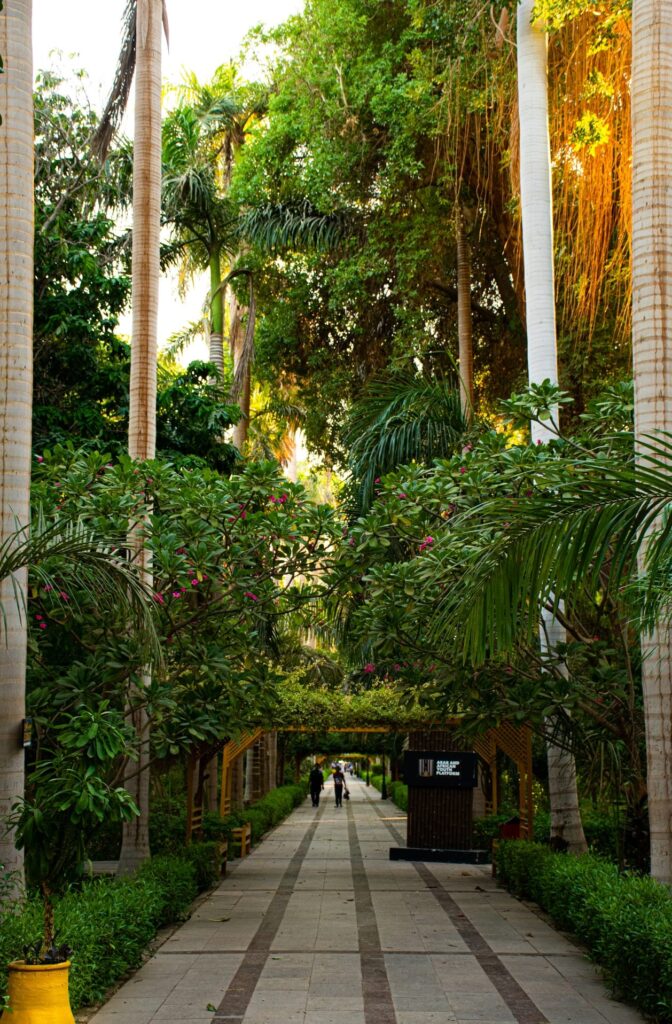 A Breath of Fresh Air: The Best Outdoor and Green Working Spaces