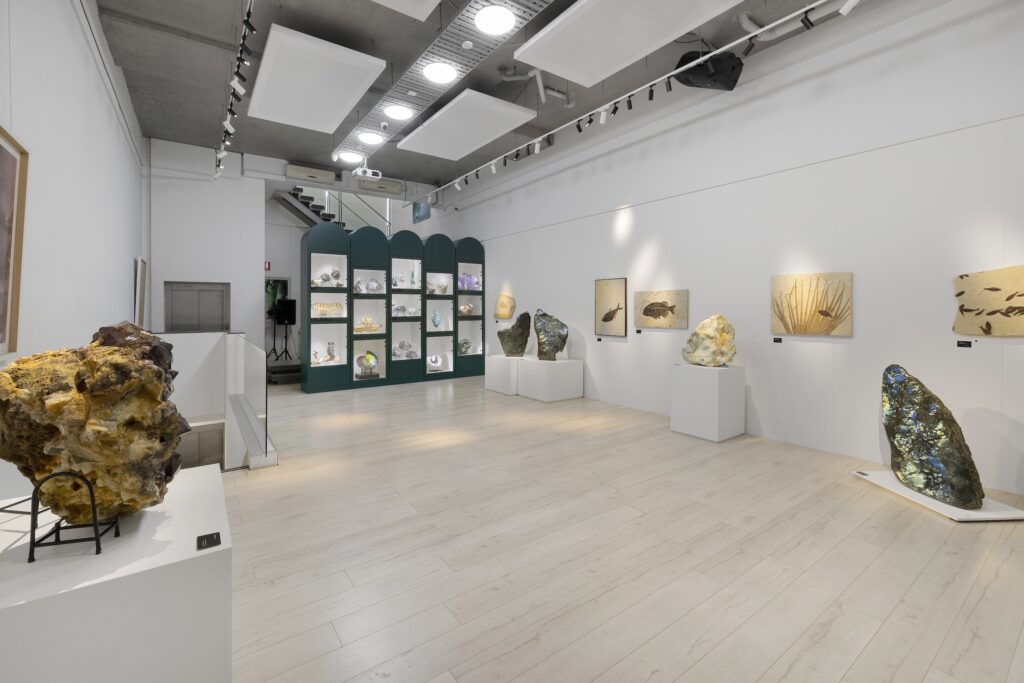 The Gallery Space