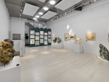 The Gallery Space